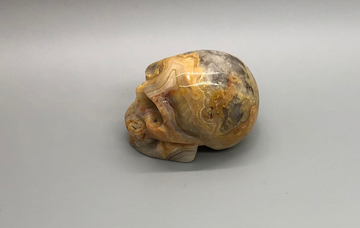 Crazy Lace Agate Skull