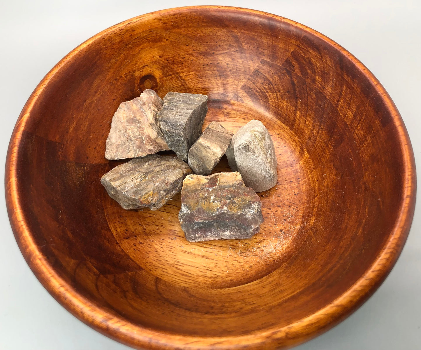 Petrified Wood Raw