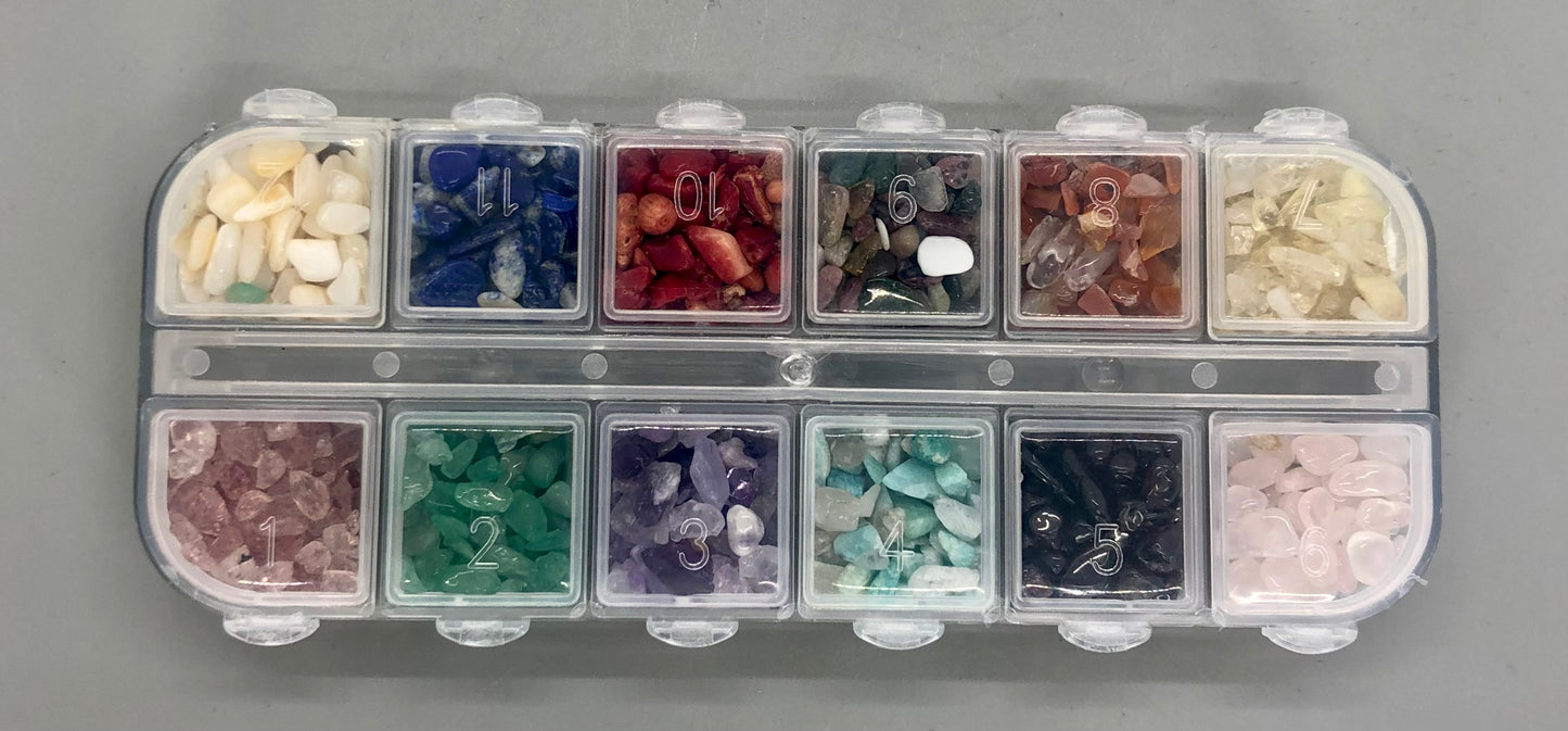 Variety Chips with Plastic Case