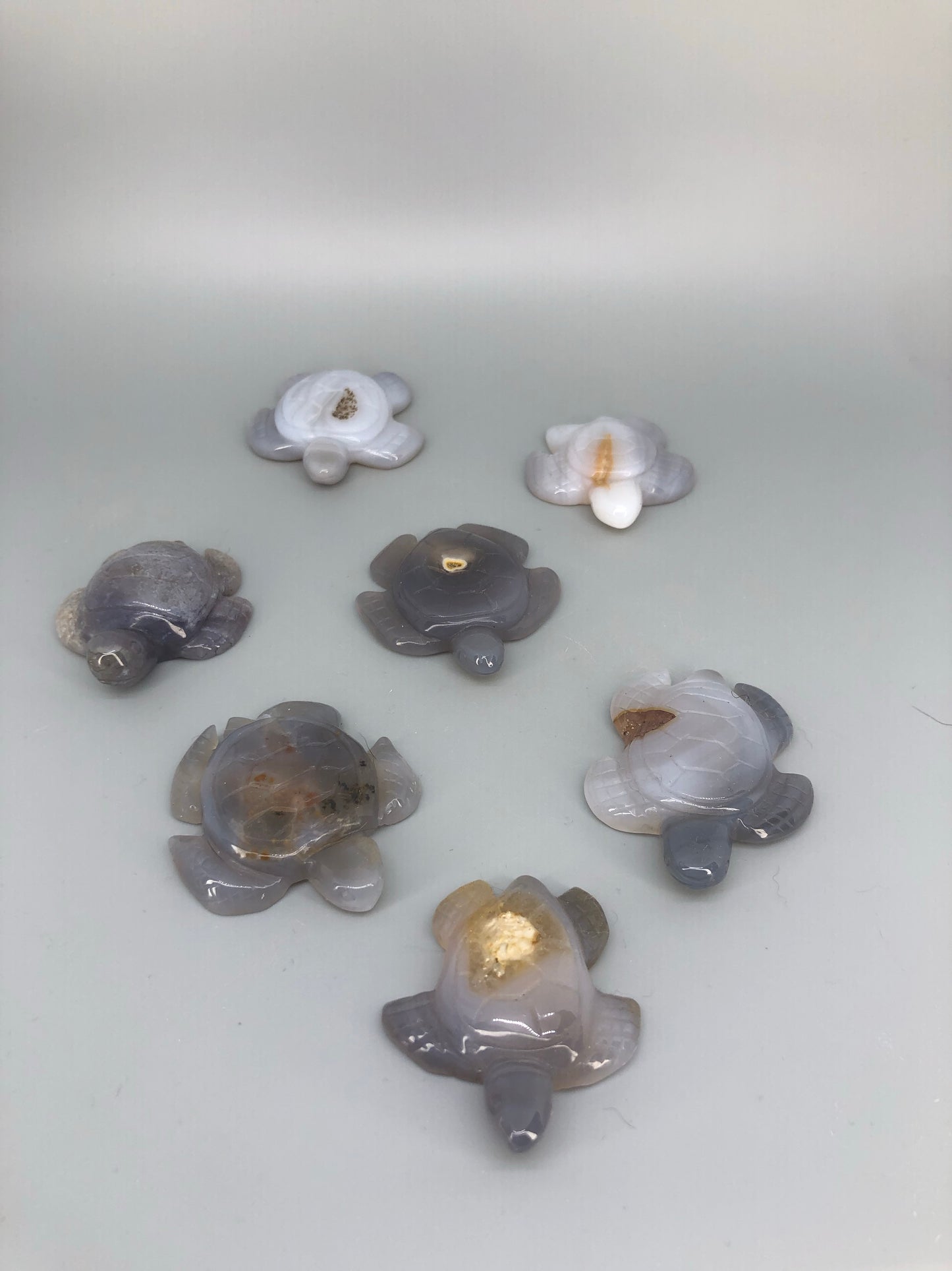 Agate Turtle