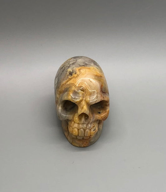 Crazy Lace Agate Skull