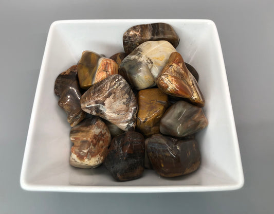 Petrified Wood Tumble