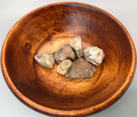 Petrified Wood Raw