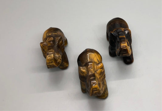 Small Tigers Eye Elephant